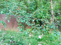 -西湖风景区-江洋畈生态公园