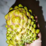 我变了，尝遍滋味；我没变，未忘清甜
