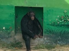 -西霞口神雕山野生动物世界