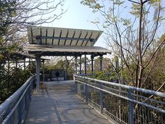 -佛山华盖山公园