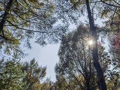 -玉泉威虎山森林公园