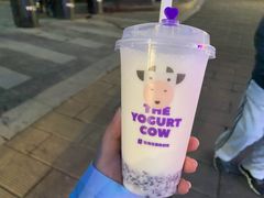 -一只酸奶牛(八一路店)