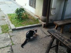 -小河无名面馆