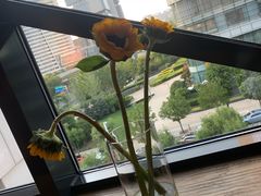 -瓦库茶馆17号(海汇港店)