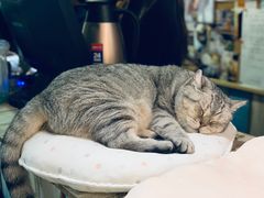 -小时光咖啡馆(开森度假森林店)