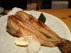 线鱼-九州酒场ひこぞう(1号店)