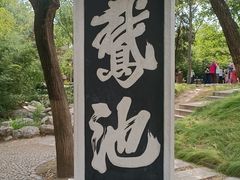 -陶然亭公园