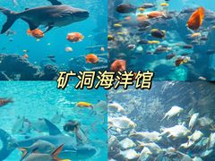 -长鹿旅游休博园