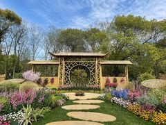 -上海共青森林公园