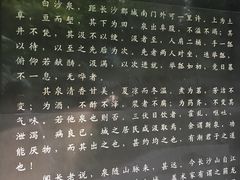 -白沙古井