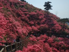 -木兰云雾山