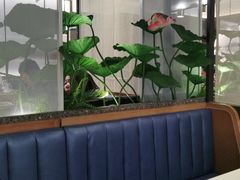 大堂-新辣道鱼火锅(上地华联店)