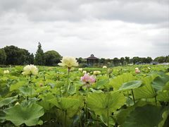 -嘉北郊野公园