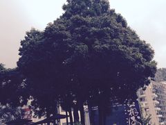 -升恒昌免税商店(桃园国际机场店)