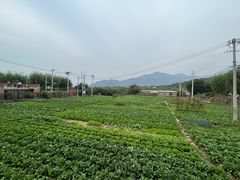 -瓦厂酒店