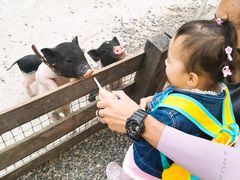 -前小桔亲子创意农场·草莓采摘·露营烧烤