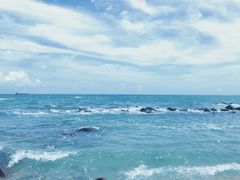 -广东惠东海龟国家级自然保护区