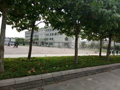 -南开大学滨海学院