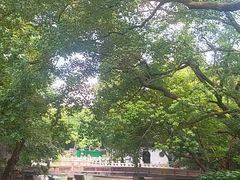 -汇龙潭