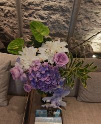 -VELEE·SPA高定疗愈会所