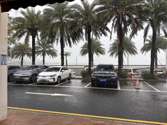 -新金盛·海鲜酒楼(盐田店)