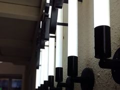 -肥家大排档(天河体育西店)
