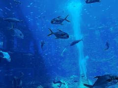 -三亚海棠湾万丽度假酒店