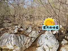-八奇洞景区