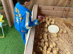 -HERRE·FARM 赫尔露营农场·团建聚会包场