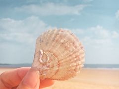 -青岛银沙滩