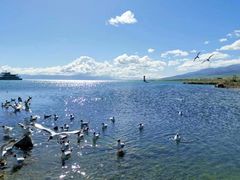 -青海湖国家重点风景名胜区