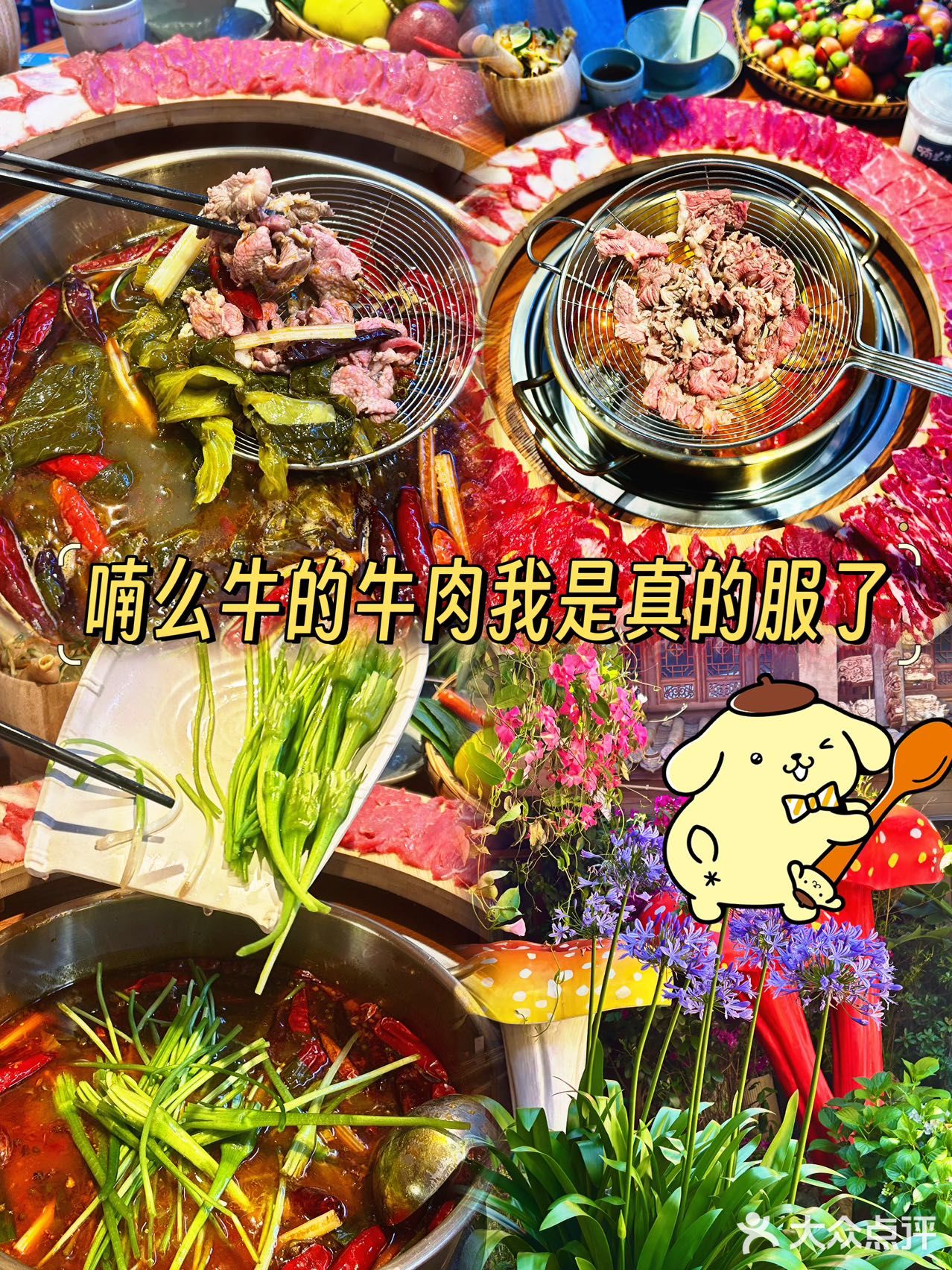 来丽江，不能错过这锅火锅的酸爽滋味