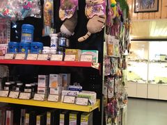 -十年猫舍·猫咪专门店(普陀店)