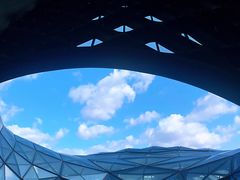 -哈尔滨大剧院
