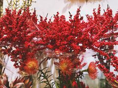 -双季花艺园艺市场(浦东店)