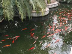 -寿山福海养老服务中心(石景山院)