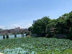 -丰泰花园酒店热矿泉