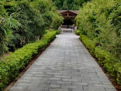 -大湾区中央湿地公园