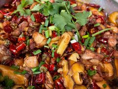 -食神又名厕所兔