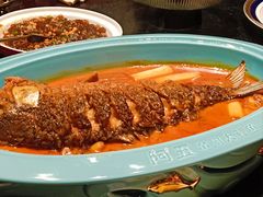 -阿五黄河大鲤鱼(建业路店)