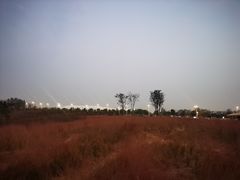 -郑东新区龙湖公共艺术中心