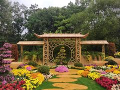 -上海共青森林公园