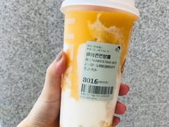 多肉芒芒甘露-喜茶(合肥正大广场店)