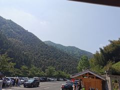 -杨家寨