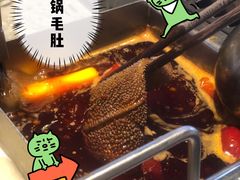 -海底捞火锅(中原万达广场店)