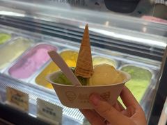-极拉图·现制冰淇淋(大卫城店)