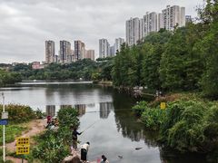 -重庆彩云湖湿地公园