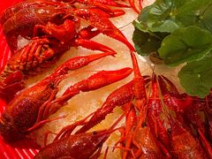 -乔街深夜食堂·台州菜·高压锅生蚝(杭州总店)