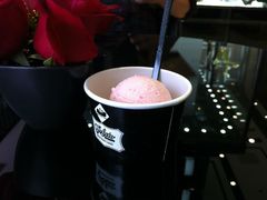 -BLACKSWAN黑天鹅(环球店)