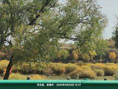 -塞罕坝国家级自然保护区